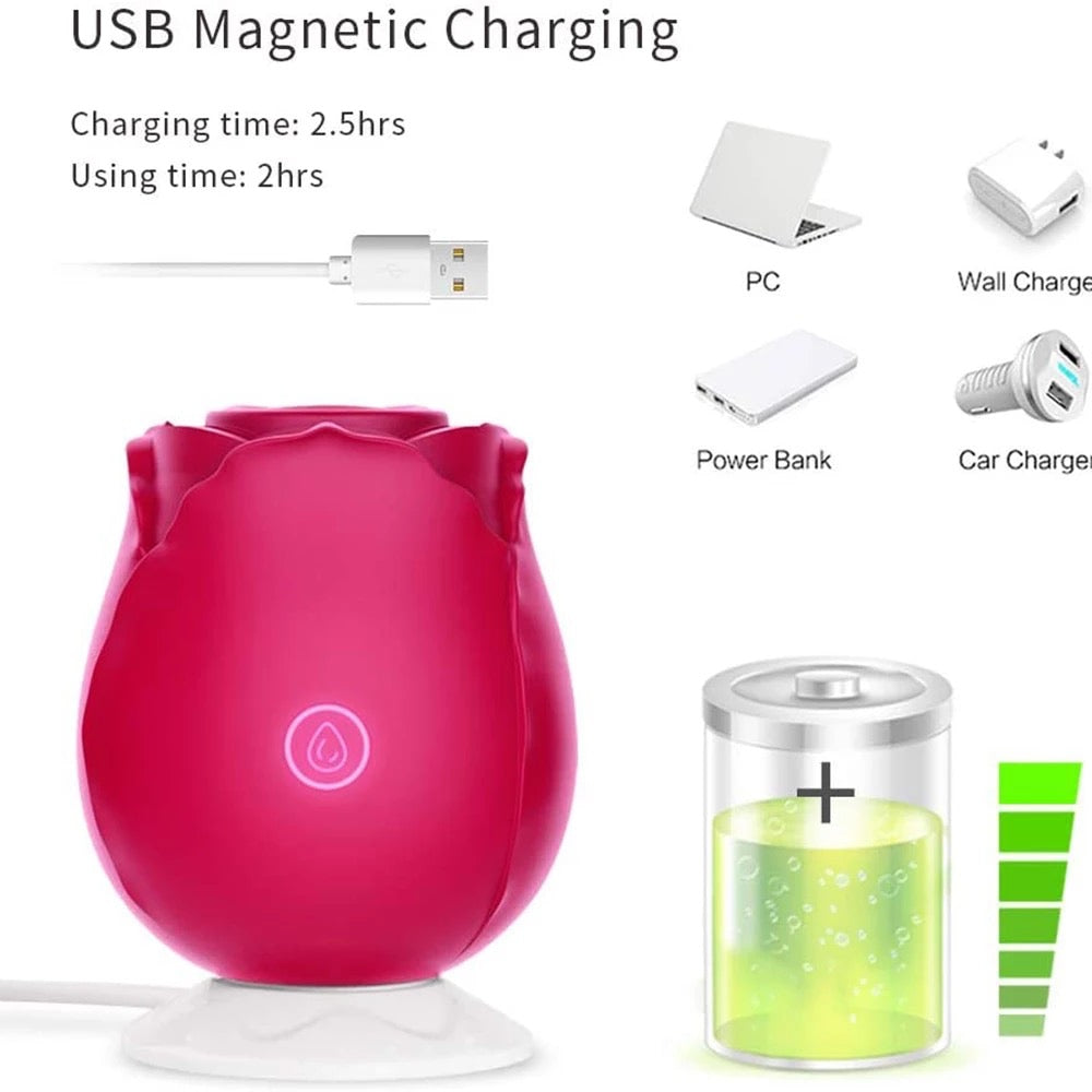 Replacement Charger Hi Kittyy Replacement Charger Hi Kittyy